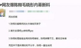 陈翔助理爆料视频播放在线观看,揭秘幕后真相